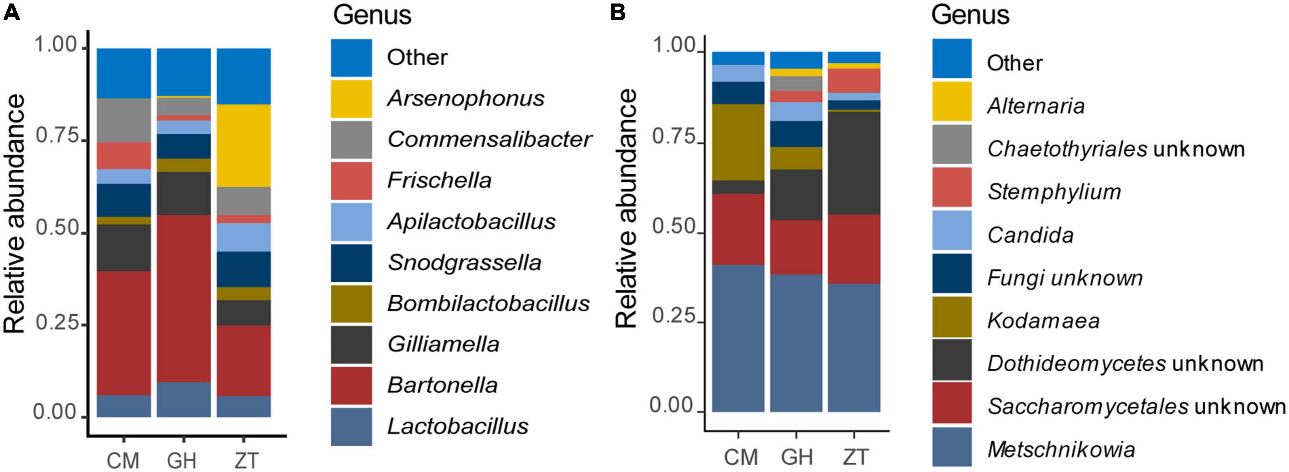 Environment or genetic isolation? An atypical intestinal microbiota in the Maltese honey bee Apis mellifera spp. ruttneri